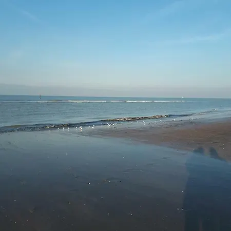 Apartment Shamrock Oostduinkerke